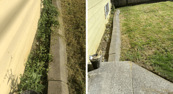 Before and after: an overgrown side-yard cleared back to clean grass